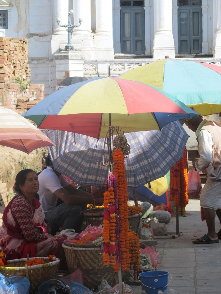 Colliers d'œillet d'inde