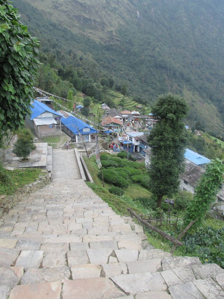 Arrivée à Chomrong !