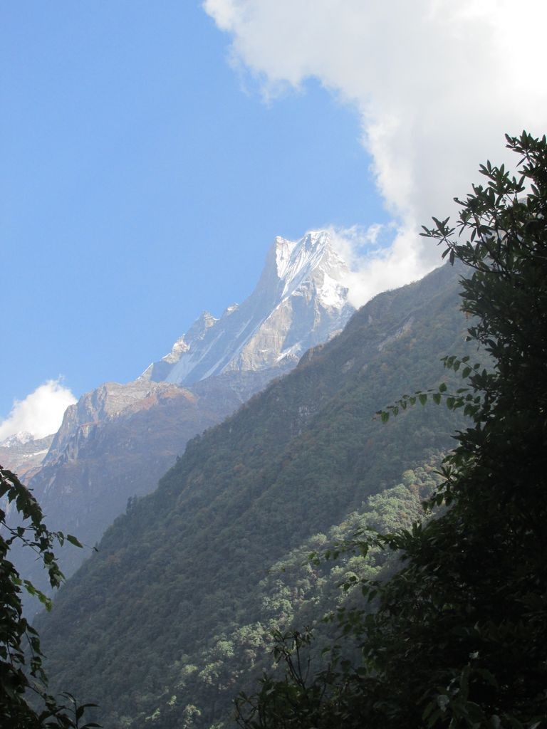 Le Machhapuchhere toujours plus grand !