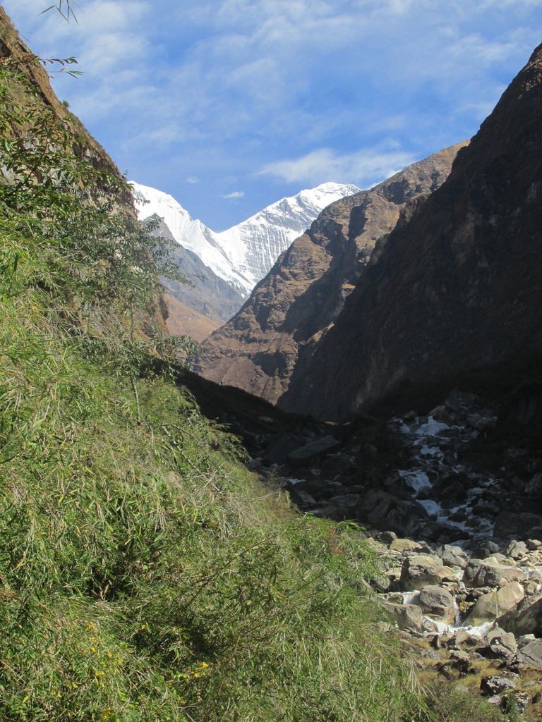 Le Gangapurna au loin
