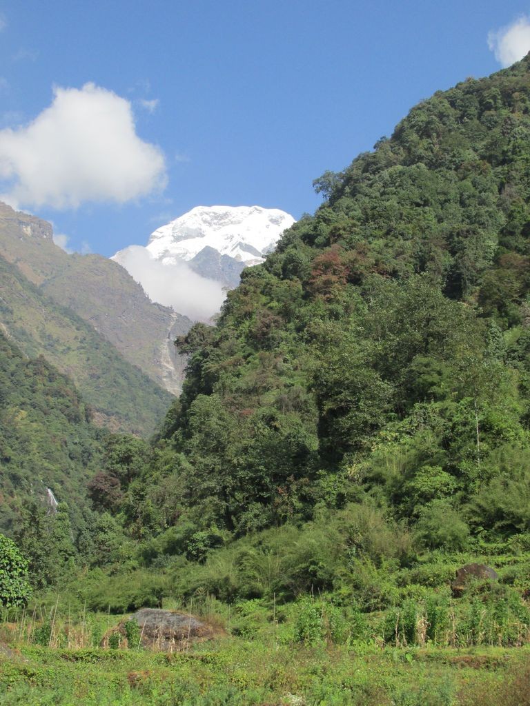 Derniers regards sur l'Annapurna Sud
