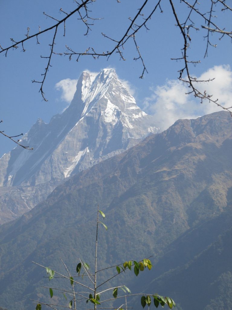 Derniers regards sur le Machhapuchhere