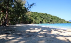 convertis_IMG_0660
