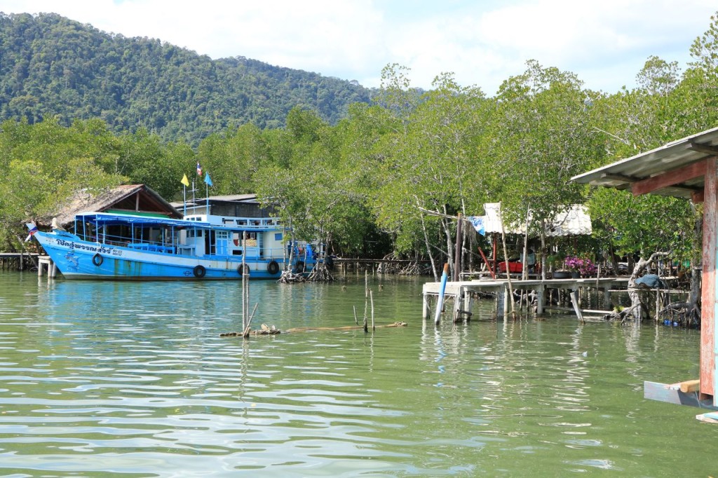 Village dans la mangrove