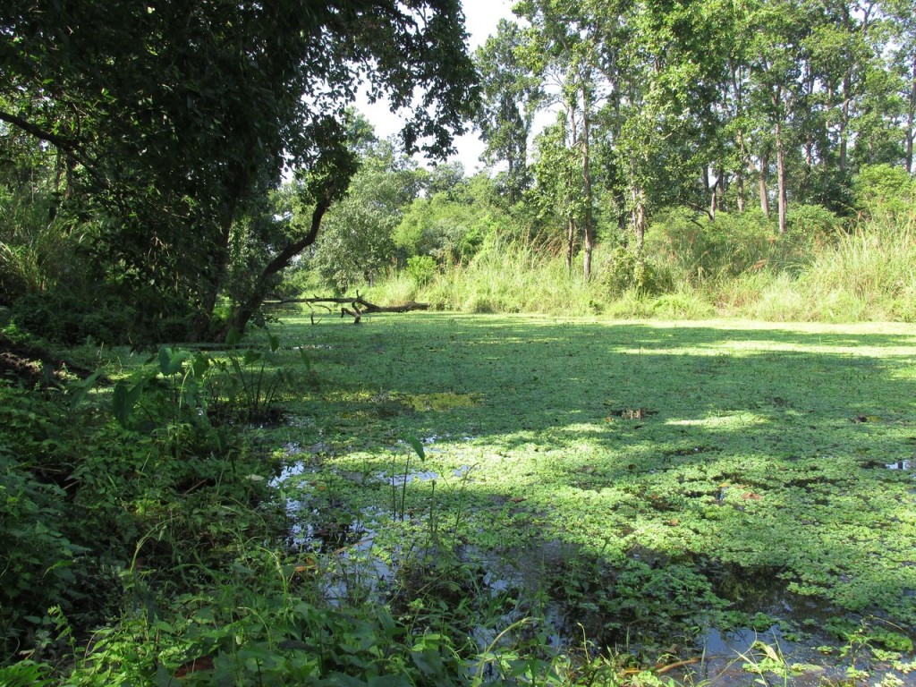 Une jolie rivière !