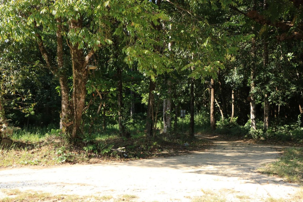 Le chemin du retour