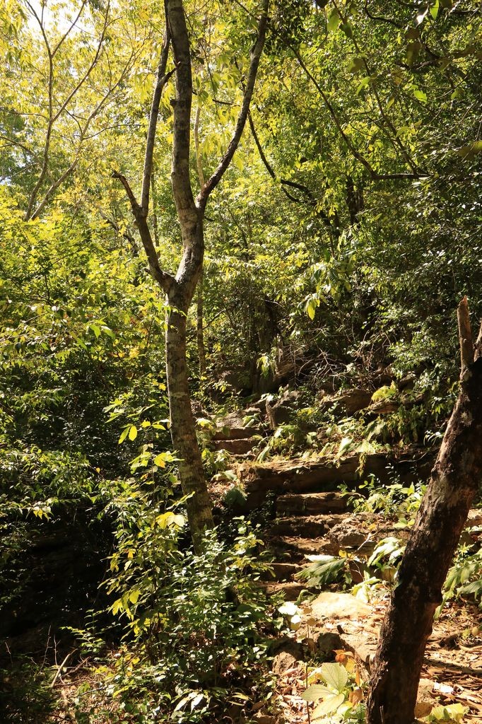 Le sentier se cache