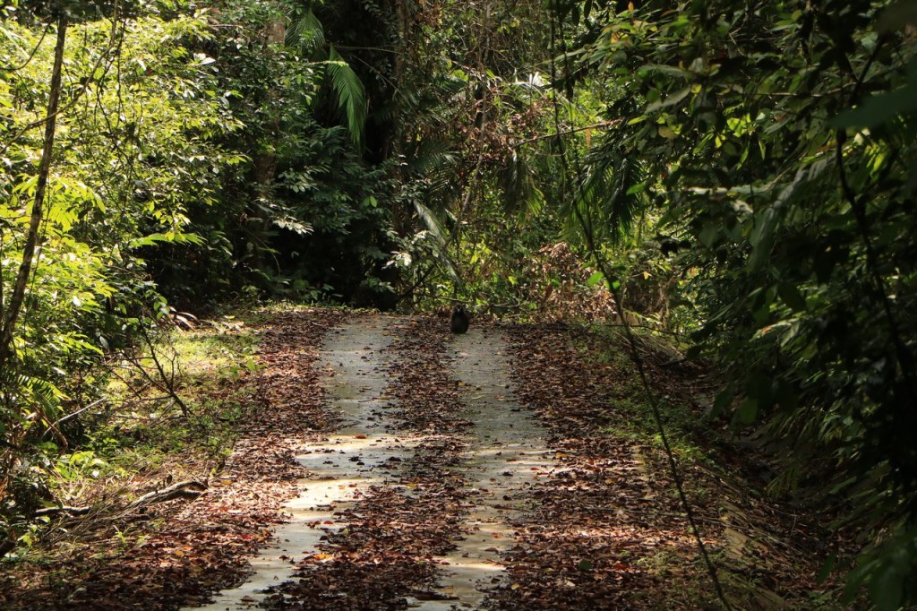 La route est à nous deux !