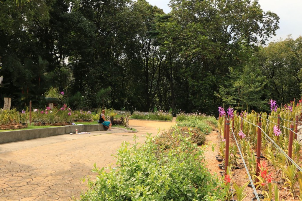Le parc est grand