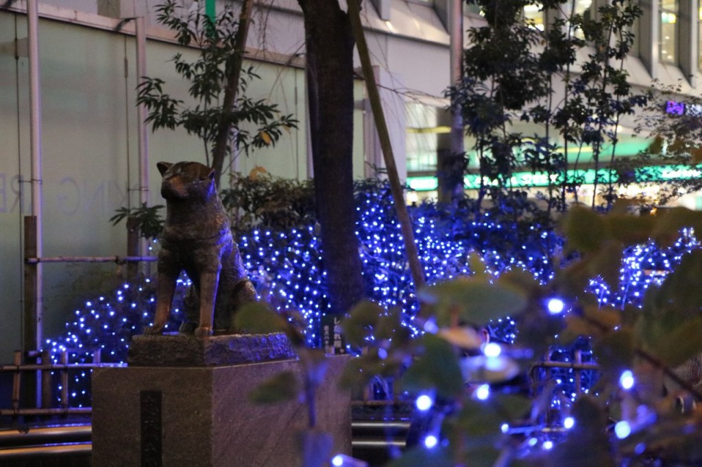 Le célèbre Hachiko