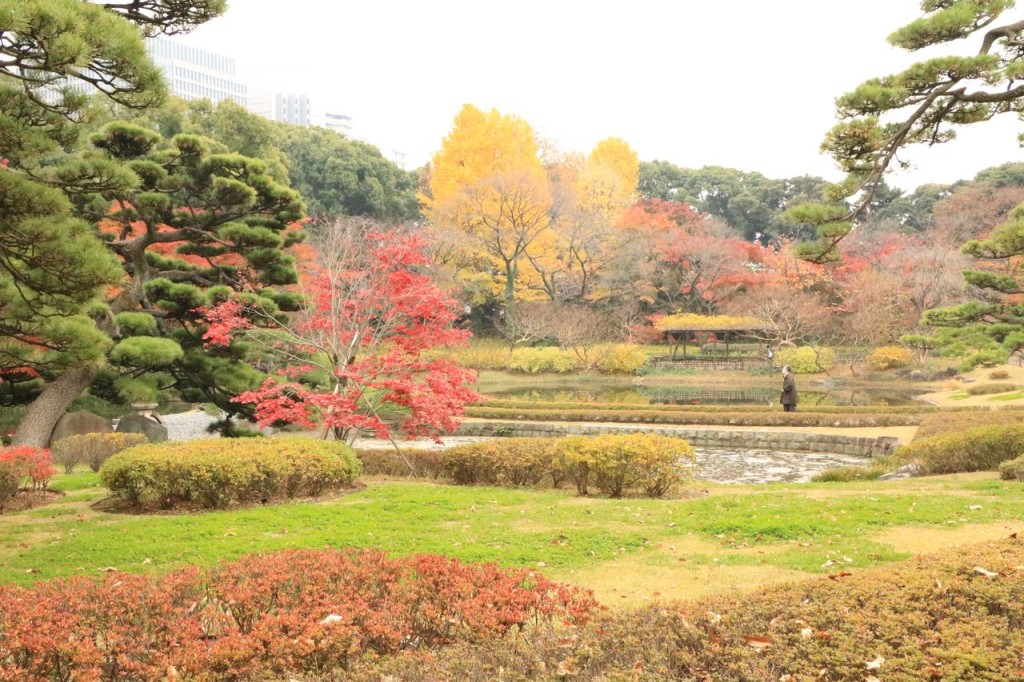 Le jardin japonais