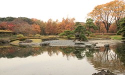 Etang du jardin impérial