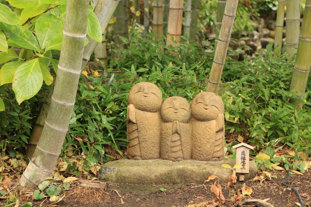 Mignons fidèles