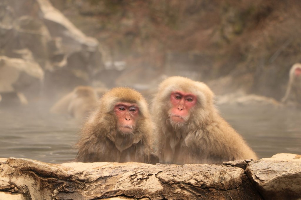 On est bien dans son bain ...
