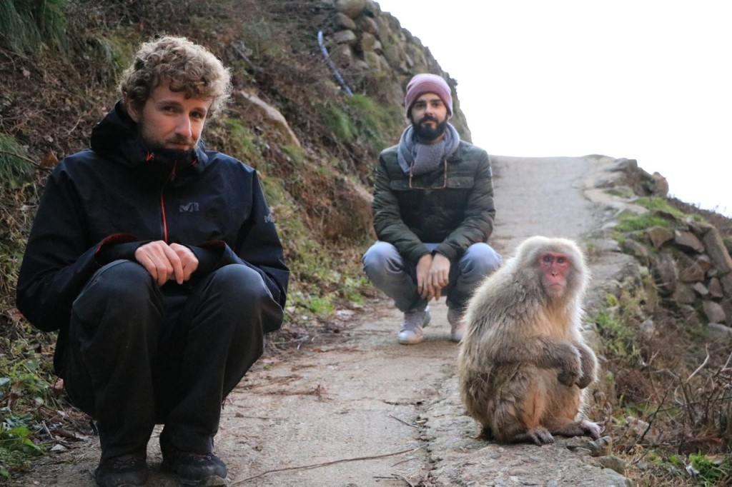 Qui singe l'autre ?!