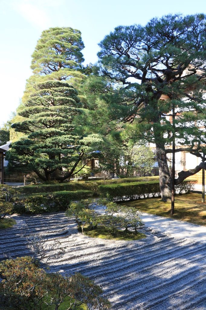 Jardin sec 1