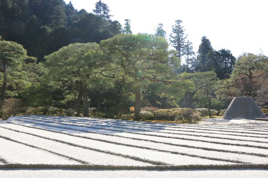 Jardin sec 3