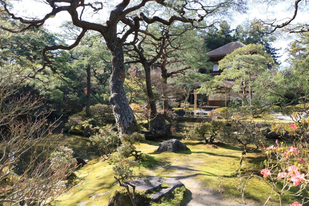 Le jardin du pavillon