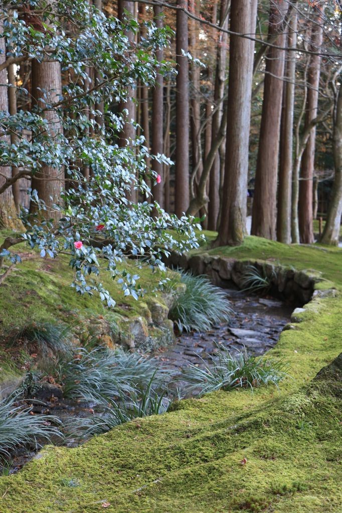 Petite rivière