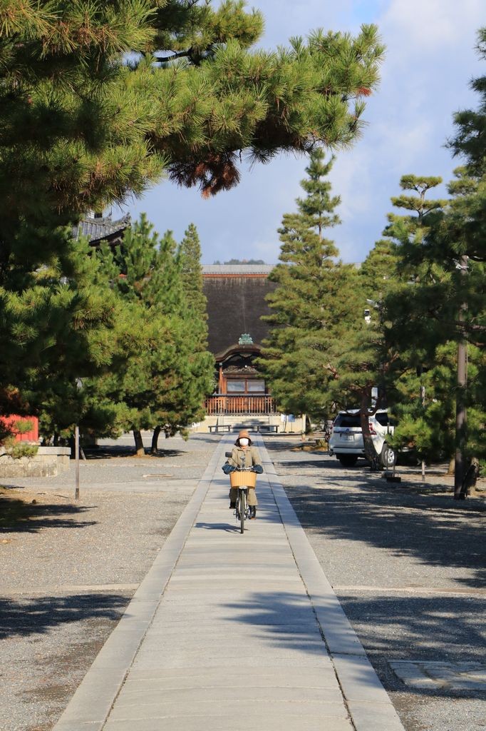 Temple Myoshin-Ji
