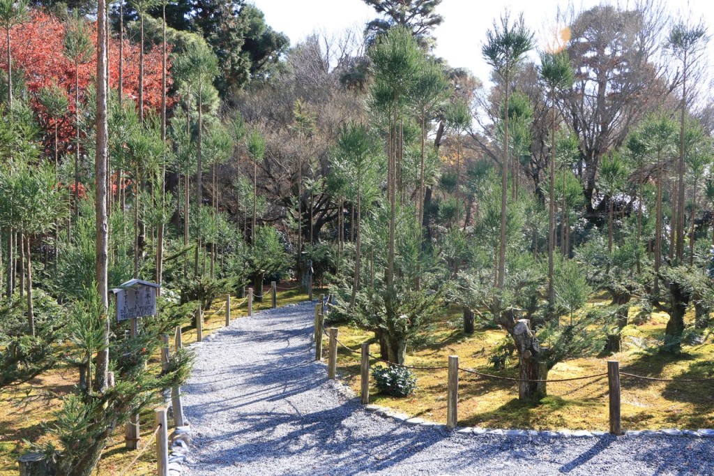 Le Temple Ryoan-Ji