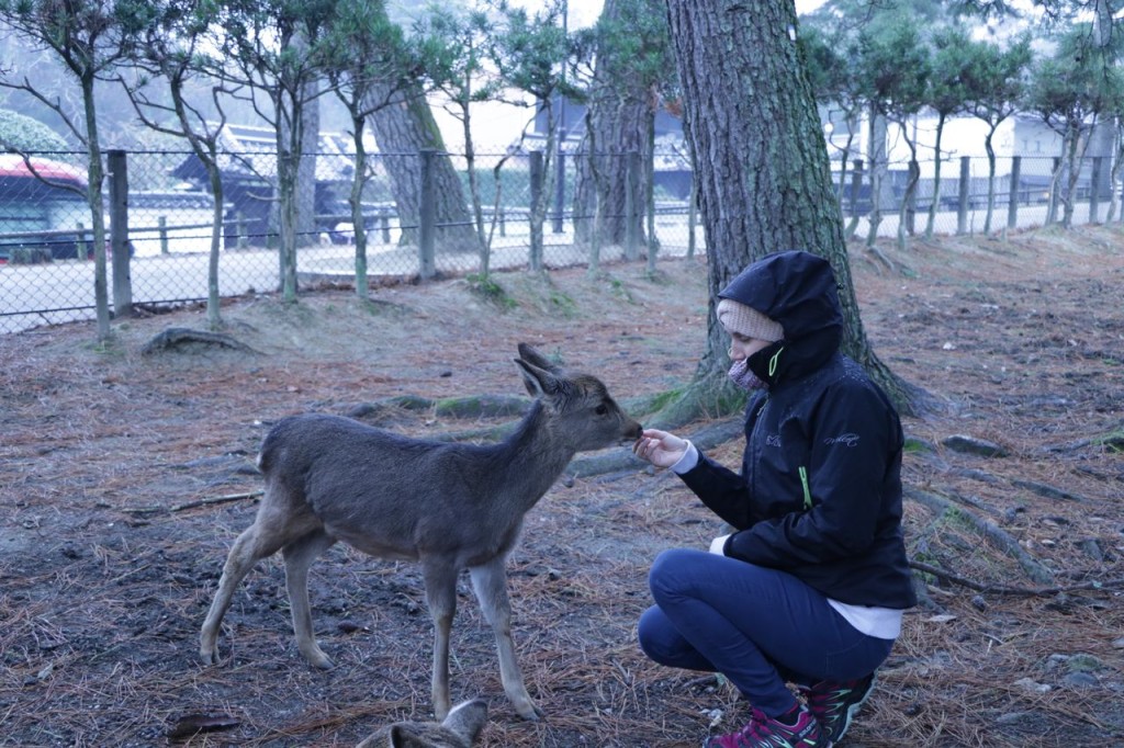 C'est pas mignon !