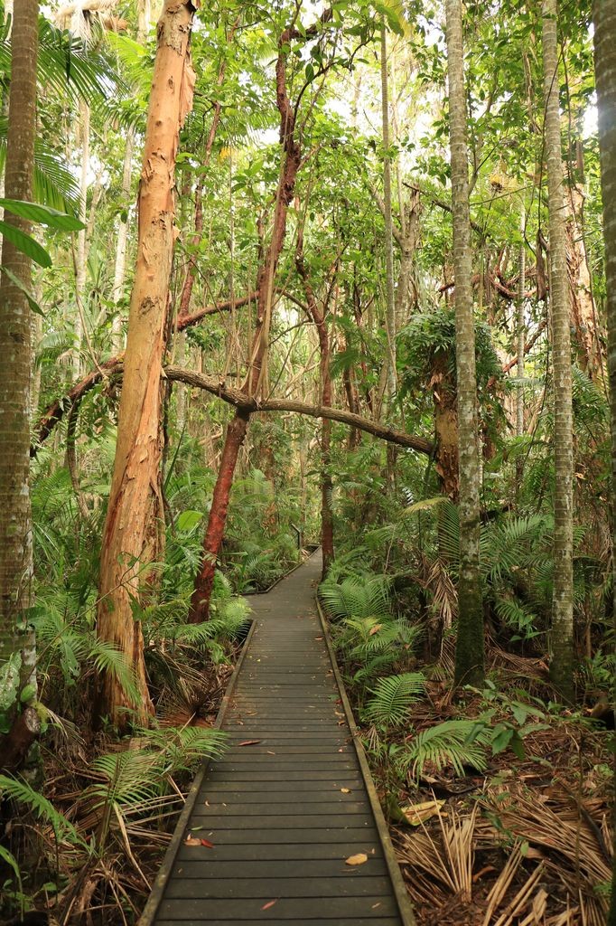 On se croirait en pleine forêt tropicale