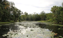 Lac d'eau douce