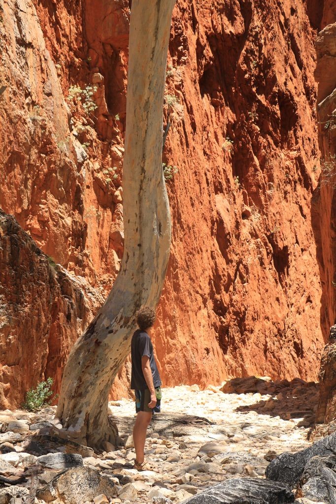Standley Chasm