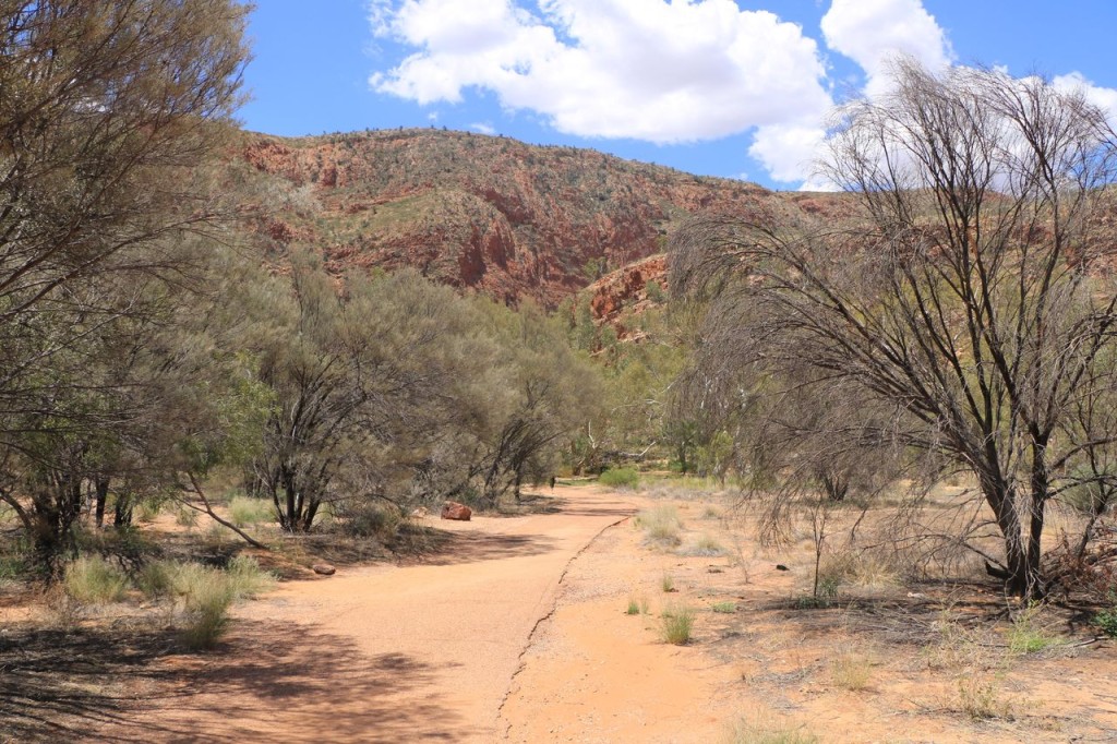Ormiston Gorge