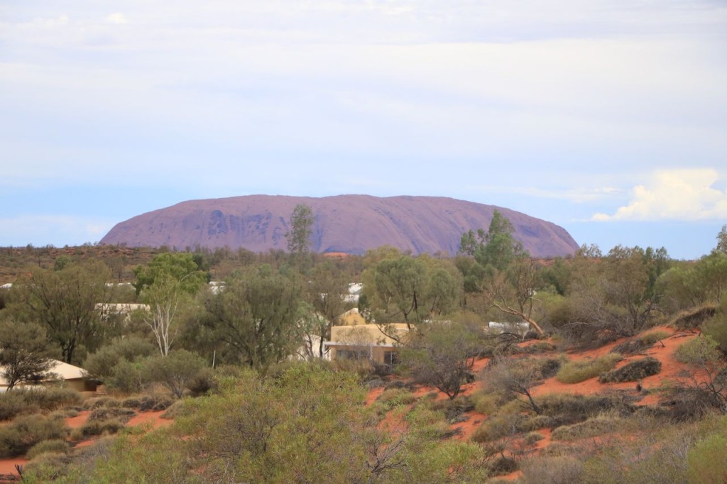 Enfin Uluru !