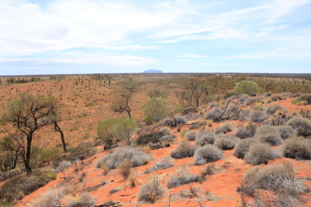 Uluru au loin