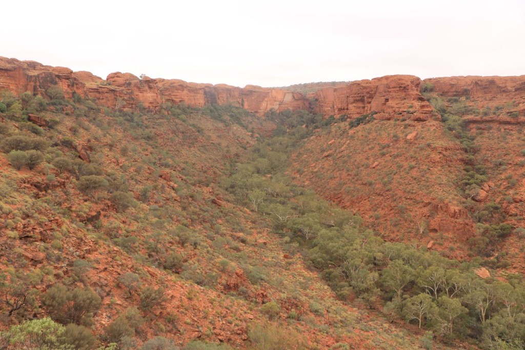 Kings Canyon