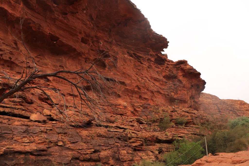 Kings Canyon