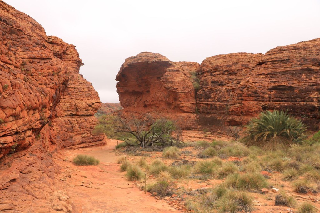 Kings Canyon