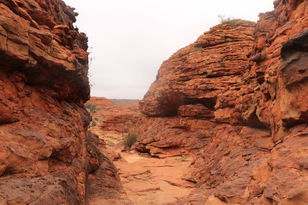 Kings Canyon