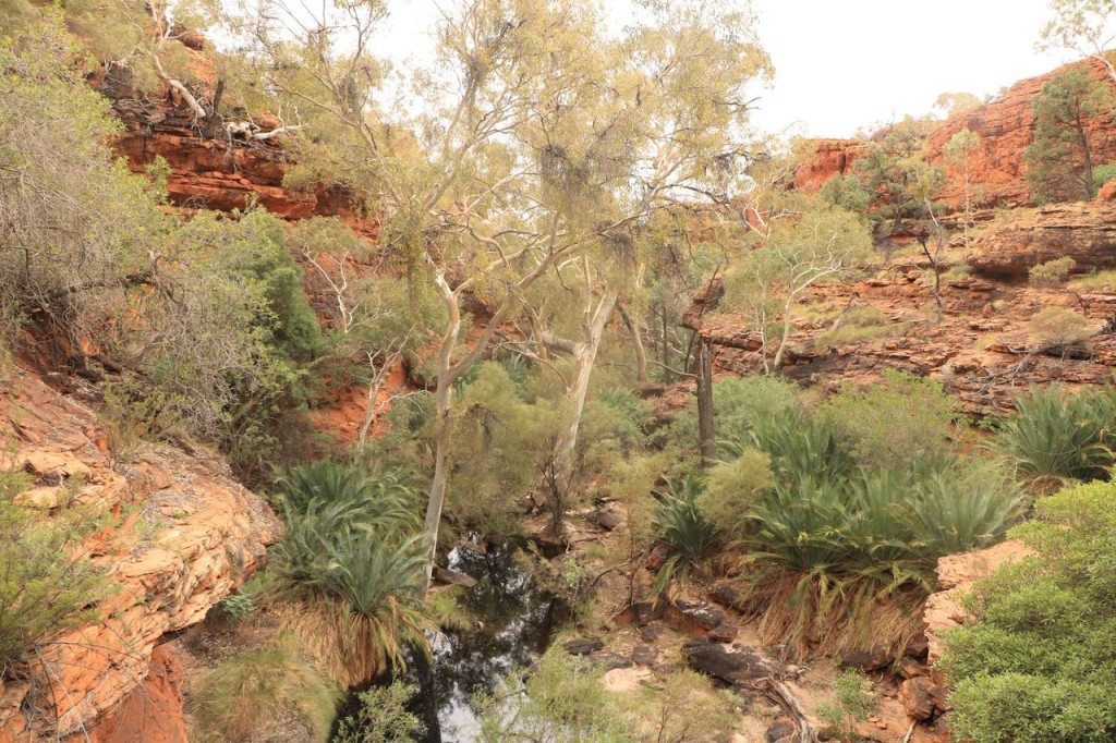 Kings Canyon