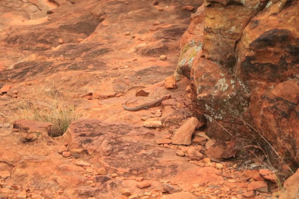 Kings Canyon