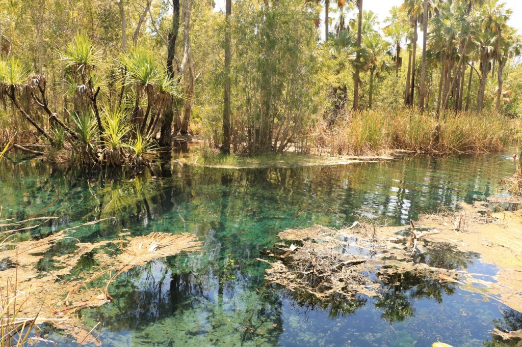 Bitter Springs