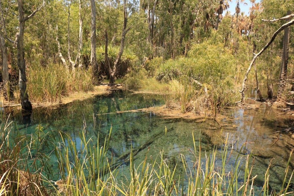 Bitter Springs