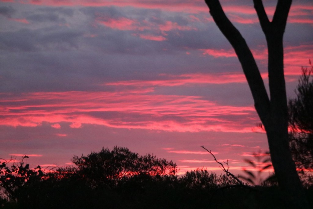 Encore une magnifique couché de soleil