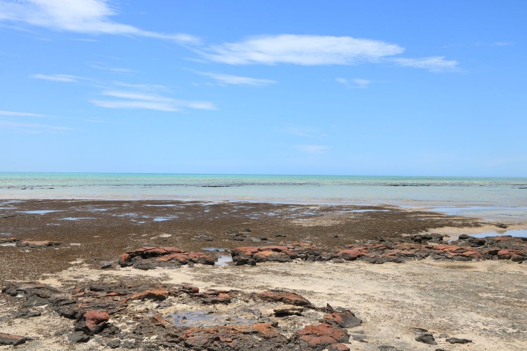 Hamelin Pool