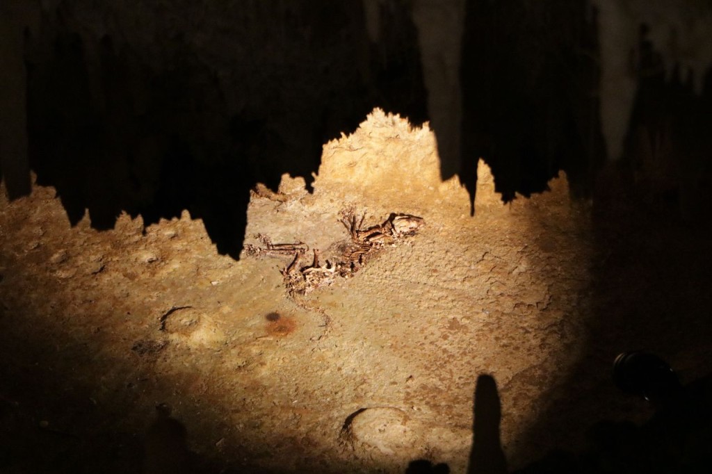 Jewel Cave