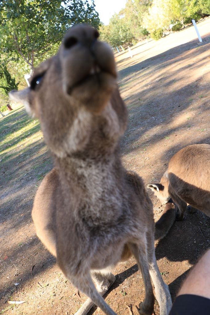Selfie !
