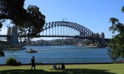 Harbor bridge