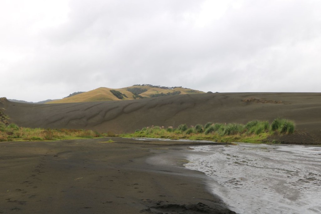 Vue sur les dunes