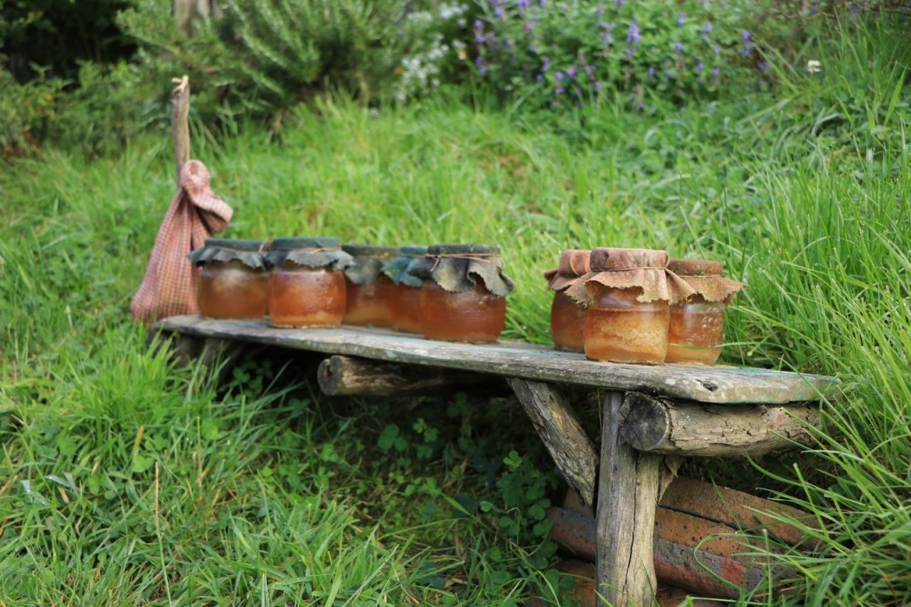 Mini-pots de miel