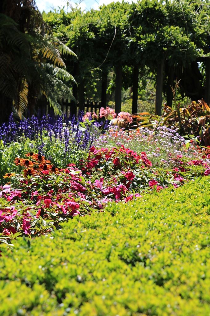 Jardin du parc Kuirau