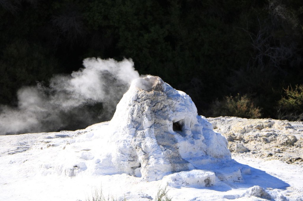 Lady Knox Geyser