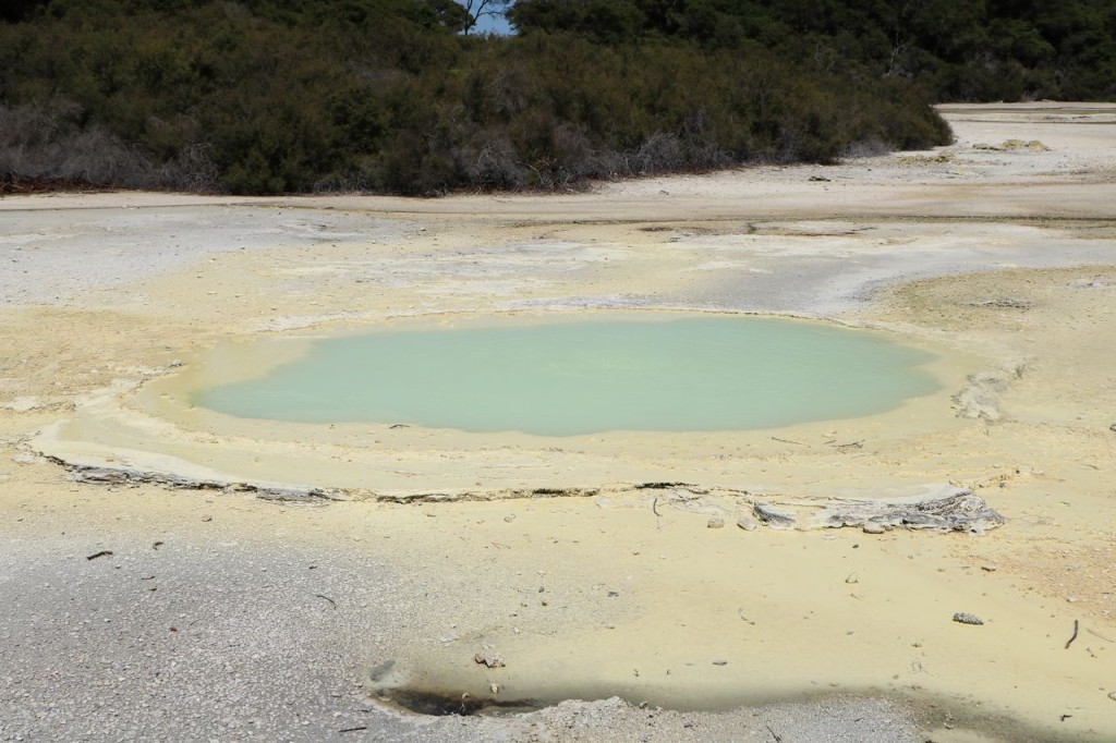 La piscine à huîtres